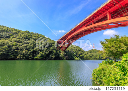 豊田市、勘八峡と平戸橋 137255319