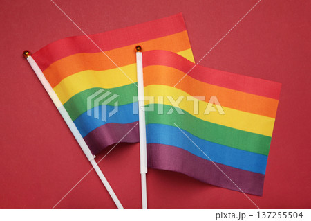LGBT rainbow flag flat lay on red background. LGBT rainbow flag flat lay on red background. 137255504