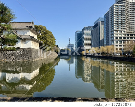 3月の皇居外周 東京都 3月の皇居外周 東京都 137255878