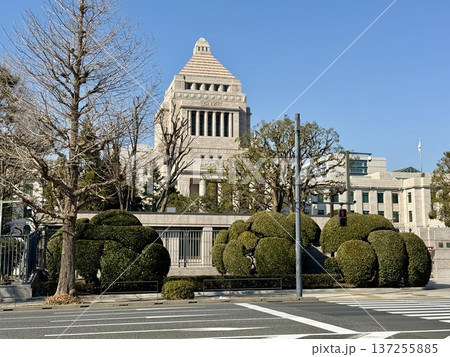 国会議事堂前　2025年3月 137255885
