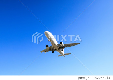 大阪国際空港(伊丹空港)の滑走路への航空機着陸 137255913