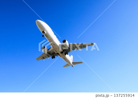 大阪国際空港(伊丹空港)の滑走路への航空機着陸 大阪国際空港(伊丹空港)の滑走路への航空機着陸 137255914