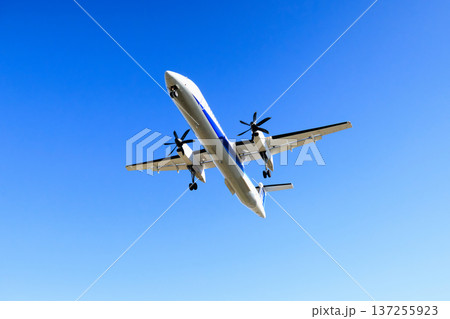 大阪国際空港(伊丹空港)の滑走路への航空機着陸 137255923