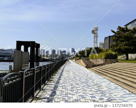 青海ふ頭公園 東京お台場 2025年春 青海ふ頭公園 東京お台場 2025年春 137256070