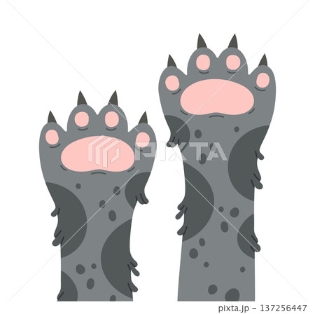 Cat paws. Fluffy kitty paws, spotted domestic animals feet, kitty cat paws flat vector background illustration. Cute kitten paws on white 137256447