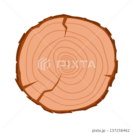 Tree trunk cut. Cartoon round oak slice, lumber wooden industry material, wood lumber saw cut flat vector illustration. Saw trunk cut on white background Tree trunk cut. Cartoon round oak slice, lumber wooden industry material, wood lumber saw cut flat vector illustration. Saw trunk cut on white background 137256462