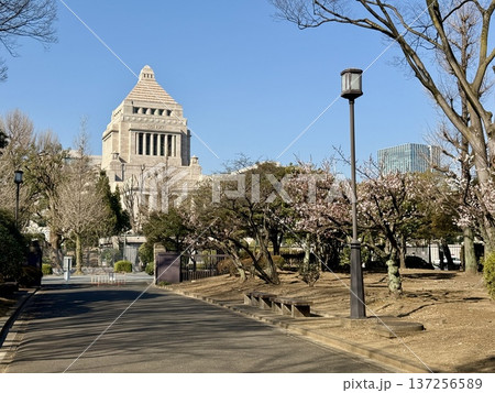 国会議事堂前 2025年3月 国会議事堂前 2025年3月 137256589