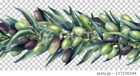Watercolor olive branch seamless border. Green and dark olives, lush greenery. Healthy food, Mediterranean cuisine. Isolated illustration, pattern for kitchen textile, oil, cosmetics packaging Watercolor olive branch seamless border. Green and dark olives, lush greenery. Healthy food, Mediterranean cuisine. Isolated illustration, pattern for kitchen textile, oil, cosmetics packaging 137256594