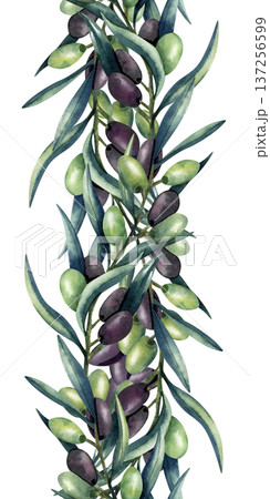 Watercolor olive branch vertical seamless border. Green and dark olives, lush foliage. Illustration isolated from background. Pattern for kitchen textile, decoration, oil and cosmetics packaging 137256599