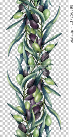 Watercolor olive branch vertical seamless border. Green and dark olives, lush foliage. Illustration isolated from background. Pattern for kitchen textile, decoration, oil and cosmetics packaging 137256599