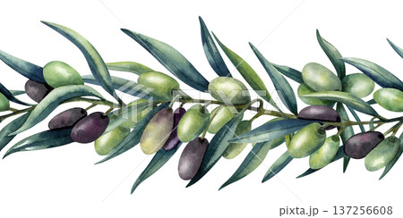 Watercolor olive branch seamless border. Green and dark olives, lush greenery. Healthy food, Mediterranean cuisine. Isolated illustration, pattern for kitchen textile, oil, cosmetics packaging 137256608