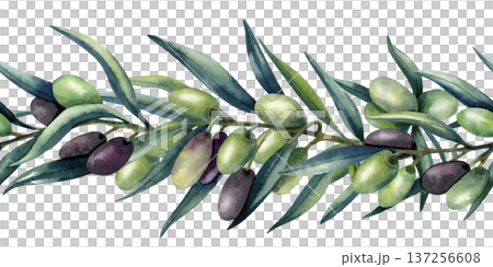 Watercolor olive branch seamless border. Green and dark olives, lush greenery. Healthy food, Mediterranean cuisine. Isolated illustration, pattern for kitchen textile, oil, cosmetics packaging 137256608