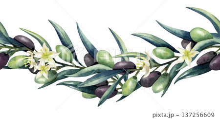 Watercolor olive branch vertical wave seamless border. Green and dark olives, lush leaves. Pattern isolated from background. Illustration for kitchen textile, decoration, oil, cosmetics packaging 137256609
