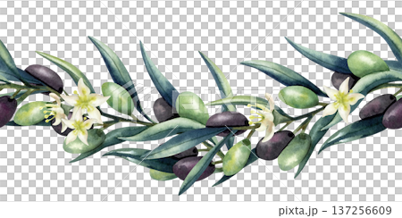 Watercolor olive branch vertical wave seamless border. Green and dark olives, lush leaves. Pattern isolated from background. Illustration for kitchen textile, decoration, oil, cosmetics packaging 137256609