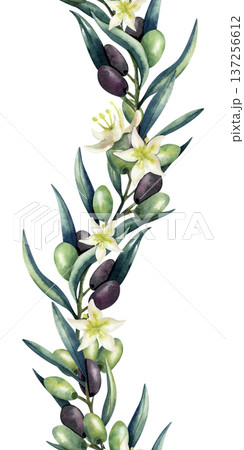 Watercolor olive branch vertical seamless border. Green and dark olives, lush leaves. Repeat pattern isolated from background. Illustration for kitchen textile, decoration, oil, cosmetics packaging 137256612