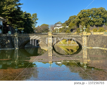 3月の皇居外周　東京都 137256703