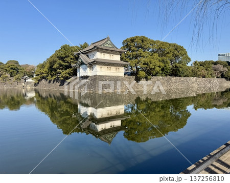 3月の皇居外周　東京都 137256810