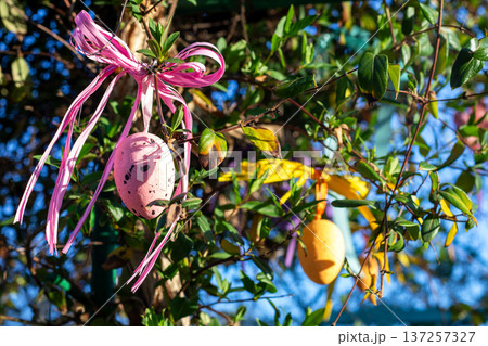 Pink Easter egg decoration with ribbon hanging on leafy tree branches in spring sunlight 137257327