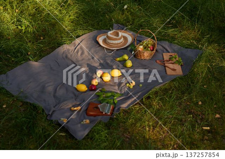 Picnic scene ambiance, Open outdoor picnic with fresh seasonal produce 137257854