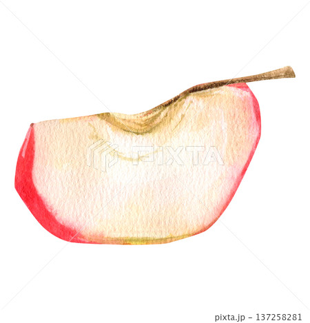 A high-quality, hand-drawn illustration of a juicy red apple slice featuring a small brown stem. A high-quality, hand-drawn illustration of a juicy red apple slice featuring a small brown stem. 137258281