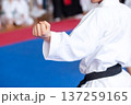 Karate practitioner body position during training. Martial arts. 137259165
