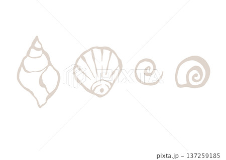 Hand drawn seashells vector illustration. 137259185