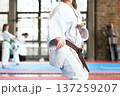 Karate practitioner body position during competition. Martial arts. 137259207