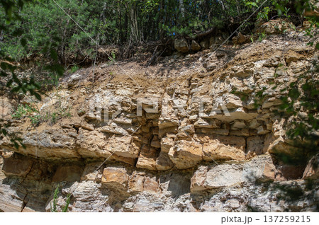 Stratified Rocks of the Serpukhovian Stage in Russia, Serpukhov Stratified Rocks of the Serpukhovian Stage in Russia, Serpukhov 137259215