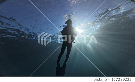 水中を泳ぐダイバー 137259225