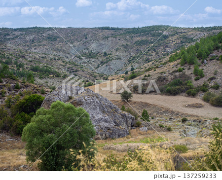 Rocky Valley Landscape in Turkey with Hills and Trees 137259233