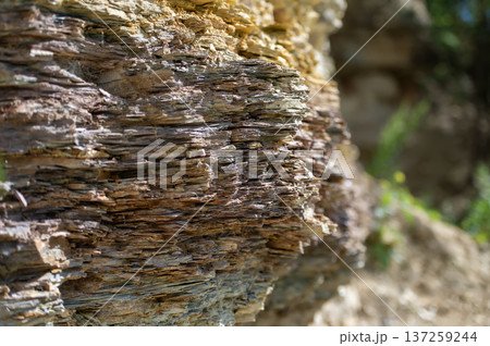 Stratified Rocks of the Serpukhovian Stage in Russia, Serpukhov 137259244