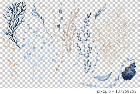 Hand drawn watercolor marine plants, coral branches and leaves in muted blue and beige tones Hand drawn watercolor marine plants, coral branches and leaves in muted blue and beige tones 137259258