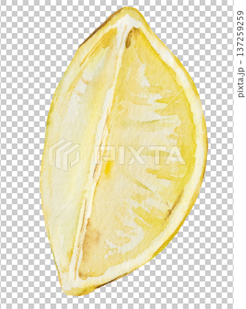 Hand drawn watercolor lemon slice, isolated botanical illustration. Yellow citrus fruit element Hand drawn watercolor lemon slice, isolated botanical illustration. Yellow citrus fruit element 137259259