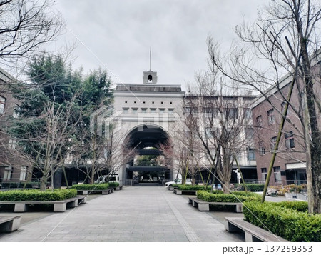 京都大学 137259353