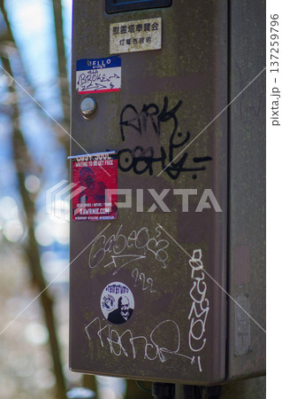 Arakura Fuji Sengen Shrine 137259796