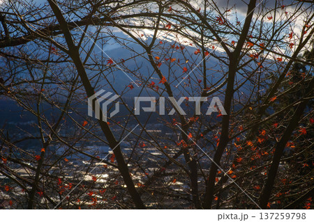 Arakura Fuji Sengen Shrine Arakura Fuji Sengen Shrine 137259798