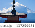 Arakura Fuji Sengen Shrine 137259981