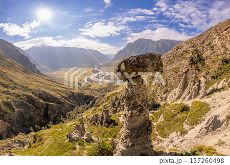 Aerial panaramic view to Natural formations stone mushrooms in Akkurum tract against blue sky, rock formations of a bizarre shape in sunny day. Ulagan Chulyshman river Valley, Altai Republic, Russia 137260498