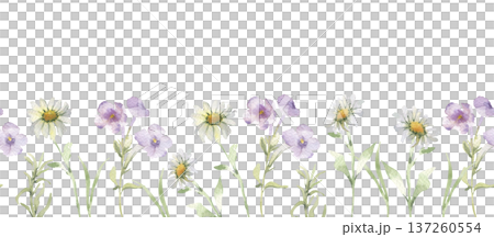 Meadow wildflowers in soft watercolor style seamless border on white. Pastel flowers print for design. Summer garden illustration for wedding. White and purple blooms hand drawn repeat background. Meadow wildflowers in soft watercolor style seamless border on white. Pastel flowers print for design. Summer garden illustration for wedding. White and purple blooms hand drawn repeat background. 137260554