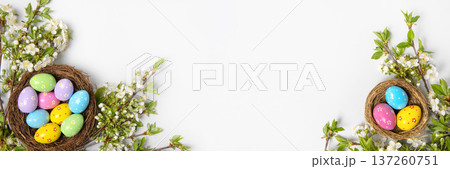 Easter colored painted eggs in bird nests and blooming spring cherry branches on gray background with space for text and greetings. Easter and spring concept. Spring background. Banner 137260751