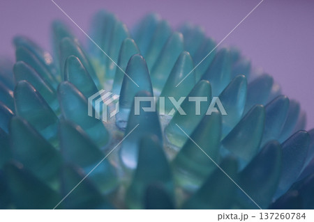View Under Microscope Concept Photo. Illustration Photo Of Many Outgrowths In Form Of Virus Protein Spikes View Under Microscope Concept Photo. Illustration Photo Of Many Outgrowths In Form Of Virus Protein Spikes 137260784