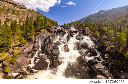Aerial panaramic view to Natural formations stone mushrooms in Akkurum tract against blue sky, rock formations of a bizarre shape in sunny day. Ulagan Chulyshman river Valley, Altai Republic, Russia 137260963