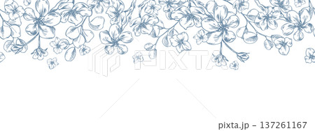 Blooming apple tree branches with lovely forget-me-nots and eucalyptus branches. A hand-drawn graphic illustration in line art style with ink. A seamless border pattern for spring holiday, wedding. Blooming apple tree branches with lovely forget-me-nots and eucalyptus branches. A hand-drawn graphic illustration in line art style with ink. A seamless border pattern for spring holiday, wedding. 137261167