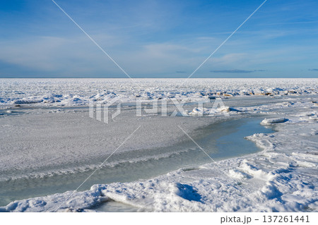 Frozen Baltic Sea Shoreline with Ice Floes and Snow Under Clear Winter Sky 137261441