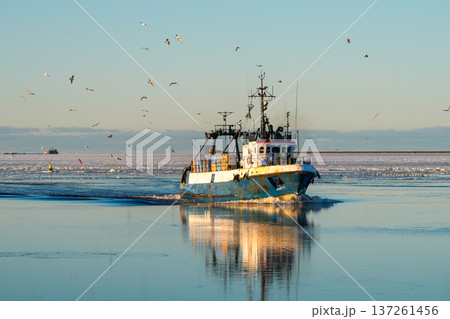 Fishing Vessel Returning to Liepaja Port on Icy Baltic Sea at Sunset Fishing Vessel Returning to Liepaja Port on Icy Baltic Sea at Sunset 137261456