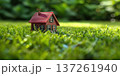 Small house on green grass in a sunny garden emphasizes home cleaning and maintenance concepts 137261940