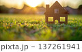 Set in a calm evening, a small model house stands on lush green grass 137261941