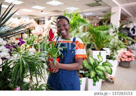 Young florist holding a red flower pot, smiling at the camera in a flower shop 137263153