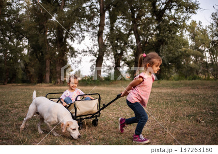 Girl pulling her twin sister and dog in a cart in a park 137263180
