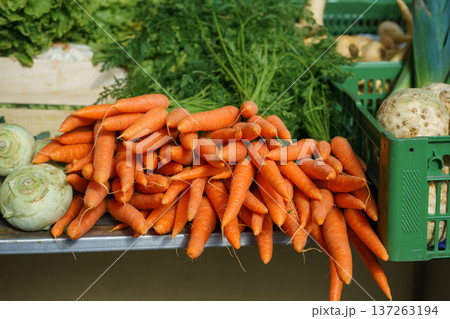 Pile of freshly harvested carrots at outdoor market stand. Healthy eating, organic farming, seasonal produce and sustainable agriculture concept Pile of freshly harvested carrots at outdoor market stand. Healthy eating, organic farming, seasonal produce and sustainable agriculture concept 137263194
